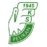 Pelikan Łowicz