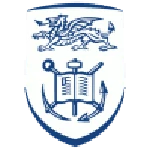 Swansea University