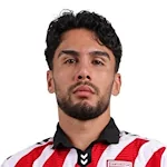 P. Yaldır