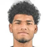 d. J. Perez Piamo Y. J.
