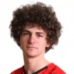 V. Skrbin