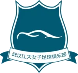 Wuhan Jiangda W