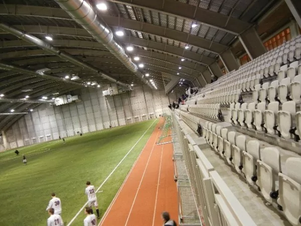 Fífan