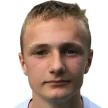 M. Mehl