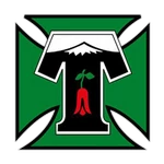 Deportes Temuco