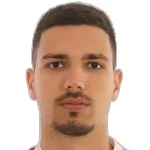 S. Tešić