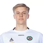 L. Nicklasson
