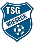 Wieseck U19