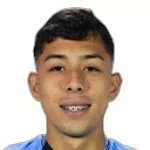 Felipe Andrés Faúndez González