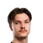 L. Väyrynen