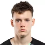 D. Fesyuk