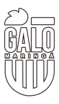 Galo Maringá U20