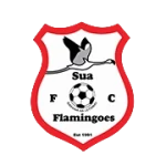 Sua Flamingoes