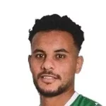 Amr Gomaa
