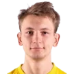 V. Vallik