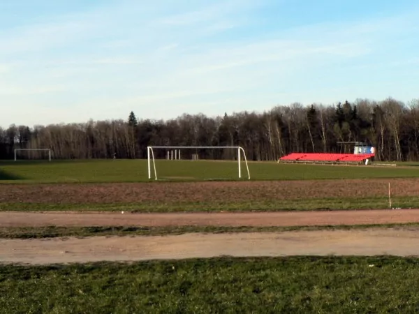 VDU Valdo Adamkaus stadionas