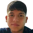 D. Pereira