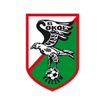 Sokół Kleczew