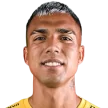 G. Bustos