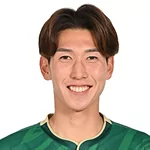 N. Hayashi