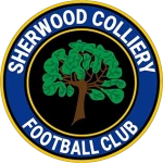 Sherwood Colliery