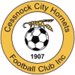 Cessnock City Hornets