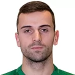 N. Janković