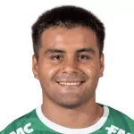 Y. Arismendi