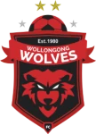 Wollongong Wolves U20