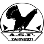 Olimpic Zărneşti