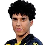 Ahmed Fawzi