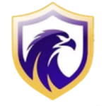 Falcon U20