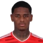 Vinicius Mello