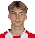 K. Potulski
