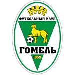 Gomel Res