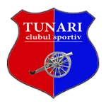 Tunari