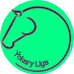 Ýokary Liga