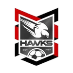 Holland Park Hawks