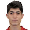 L. Bashoyan