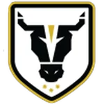 Bulls Academy