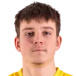 M. Limberg