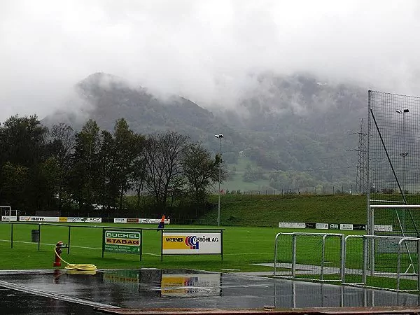 Sportplatz Rheinau