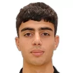 P. Manukyan