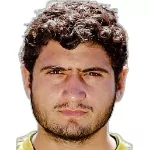 L. Karapetyan