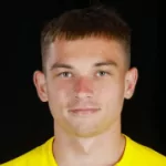 V. Gorokh