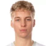V. Larsson