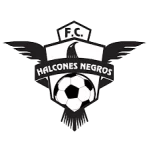 Halcones Negros