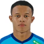 Pedro Henrique