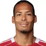 V. van Dijk