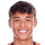 Ilhan Fandi